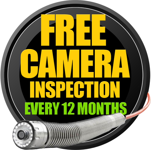 Free camera inspection every 12 months for relined pipes
